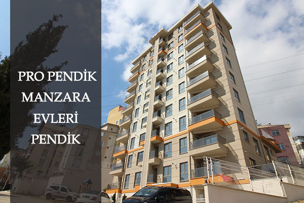 Pro Pendik Projesi