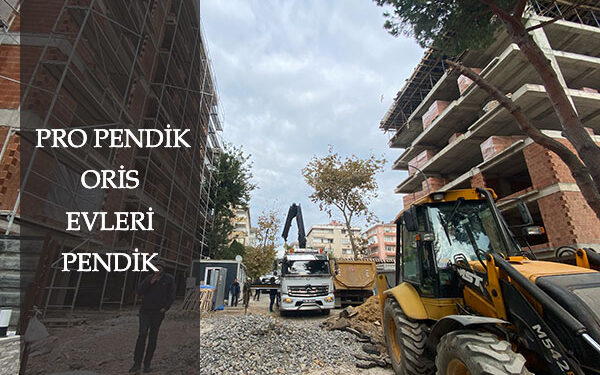 Pro Pendik Oris Projesi